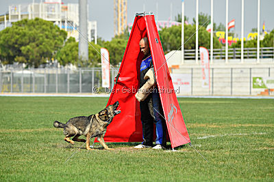 Byrka van Tiekerhook
