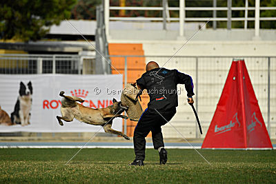 Cadha Force Canina