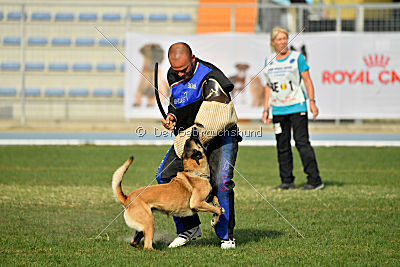 Cadha Force Canina
