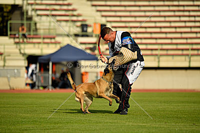 Cadha Force Canina