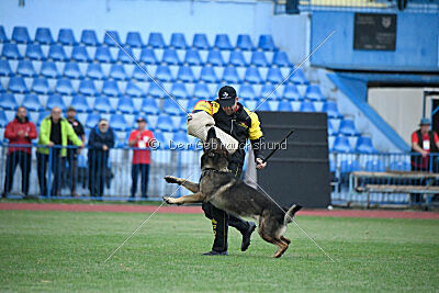 Caesar dal Lupo Grande