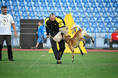 Cafu Yucero Bohemia