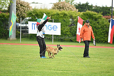 Caja von der Schwarzen Mamba