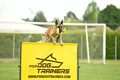 Caja von der Schwarzen Mamba