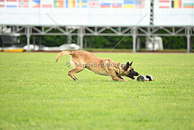 Caja von der Schwarzen Mamba