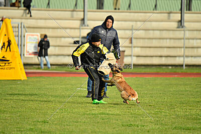 Caja von der Schwarzen Mamba