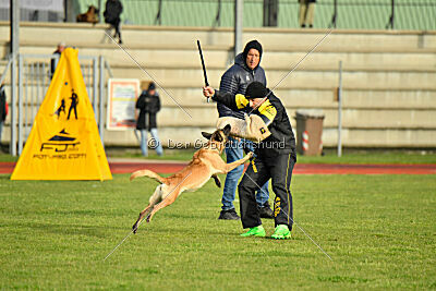 Caja von der Schwarzen Mamba