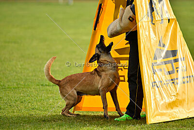 Caja von der Schwarzen Mamba