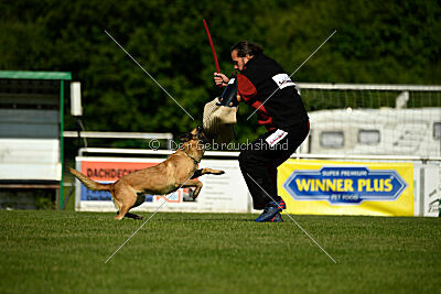 Caja von der schwarzen Mamba