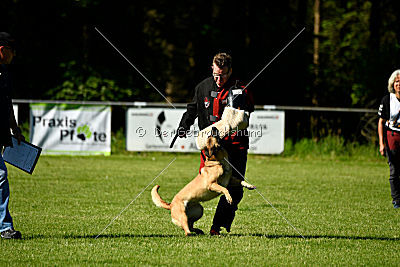 Caja von der schwarzen Mamba