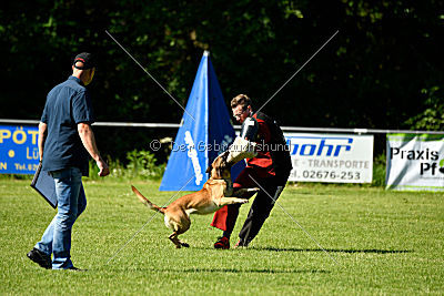 Caja von der schwarzen Mamba