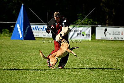 Caja von der schwarzen Mamba