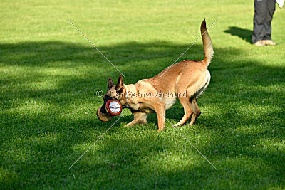 Caja von der schwarzen Mamba