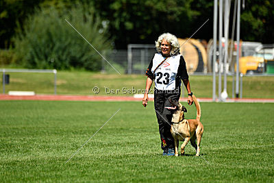 Caja von der schwarzen Mamba