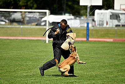 Caja von der schwarzen Mamba