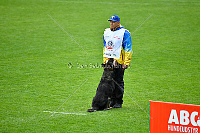 Cali vom alten Gatter