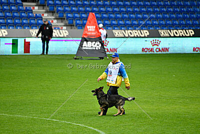 Cali vom alten Gatter