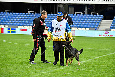 Cali vom alten Gatter