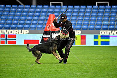 Cali vom alten Gatter