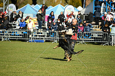 Cali vom alten Gatter