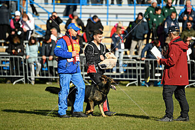 Cali vom alten Gatter