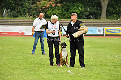 Calito vom Kylltalblick