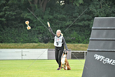 Calito vom Kylltalblick