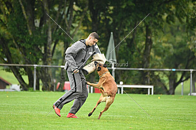 Calle von der schwarzen Mamba