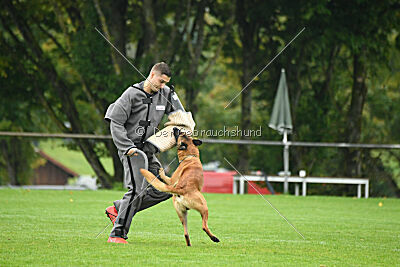 Calle von der schwarzen Mamba