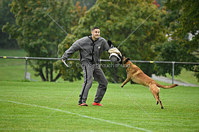Calle von der schwarzen Mamba