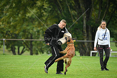 Calle von der schwarzen Mamba