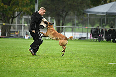 Calle von der schwarzen Mamba