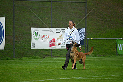 Calle von der schwarzen Mamba