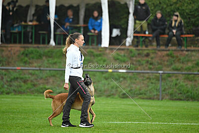 Calle von der schwarzen Mamba