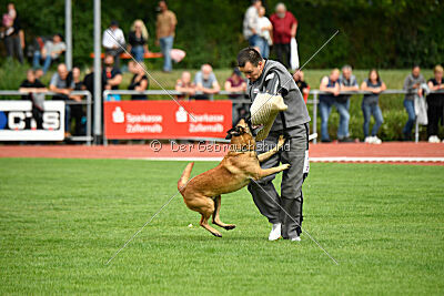 Calle von der schwarzen Mamba