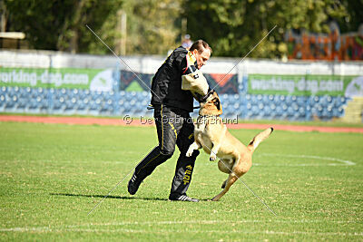 Calvin Klein Is Always Crazy