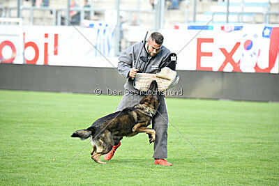 Cami At Shangay Vrochas