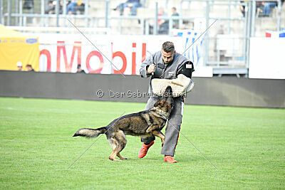 Cami At Shangay Vrochas