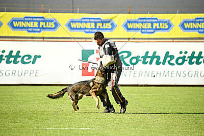 Cami At Shangay Vrochas