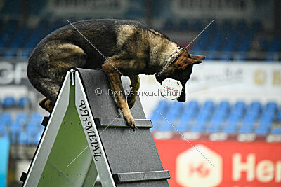 Cami At Shangay Vrochas