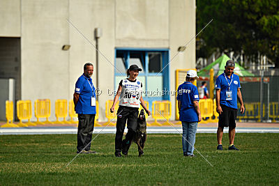 Camino Brillante Azima