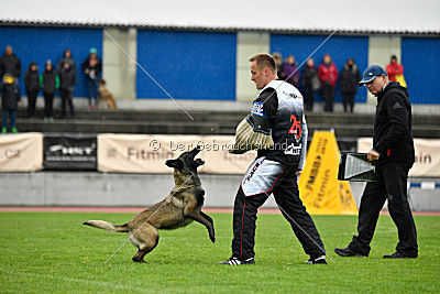 Camino Brillante Azima