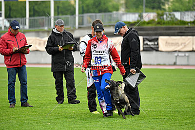 Camino Brillante Azima