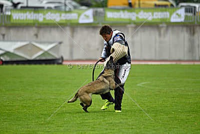 Camino Brillante Azima