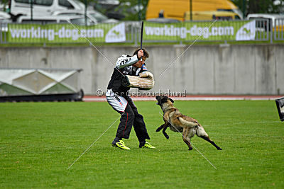 Camino Brillante Azima