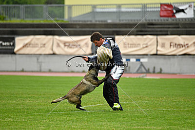 Camino Brillante Azima