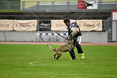 Camino Brillante Azima