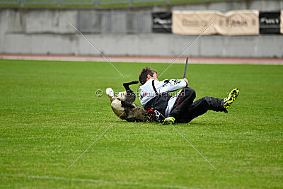 Camino Brillante Azima