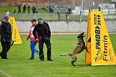 Camino Brillante Azima