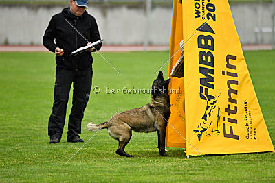 Camino Brillante Azima